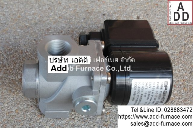 Brahma Type EG12*SR*GMO (7)